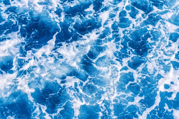 deniz köpüğü doku