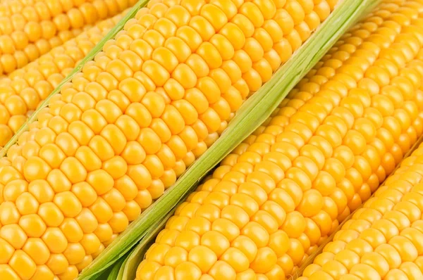 Texture of ripe corn — Stock Photo, Image