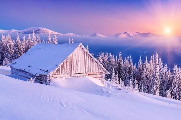 Sunrise in winter mountain — Stock Photo, Image