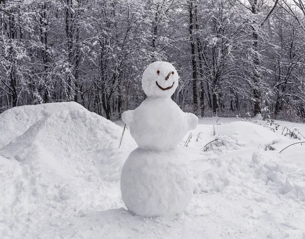 Człowiek śniegu, w lesie — Zdjęcie stockowe