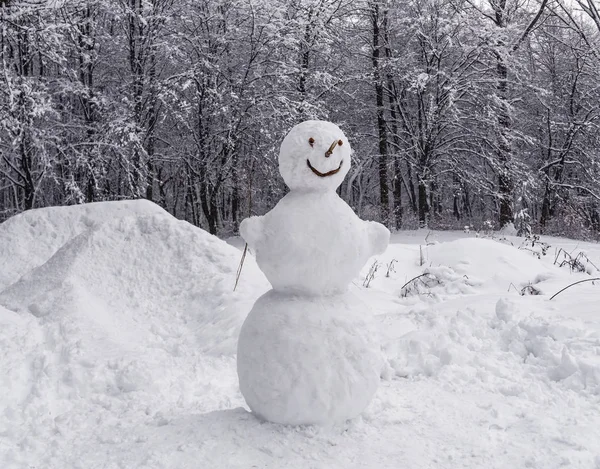 Bonhomme de neige dans la forêt — Photo