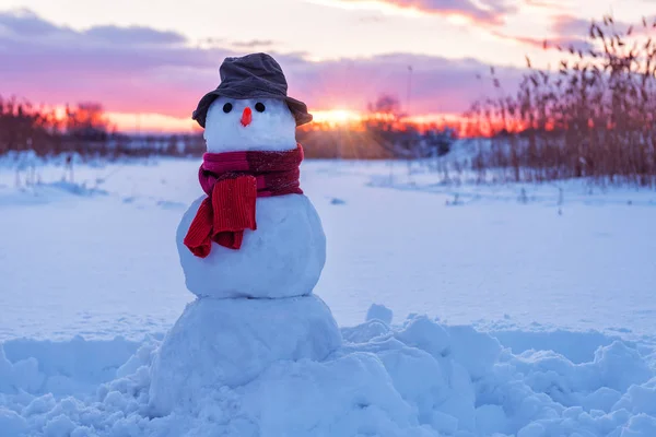 Snow man in red scarf — Stock Photo, Image