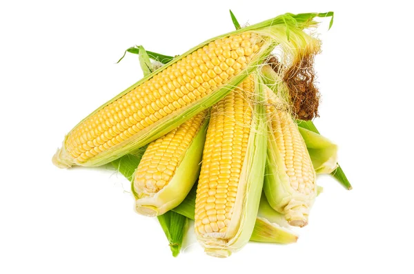 Heap of corn cobs — Stock Photo, Image