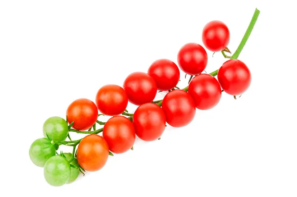 Zralé rajče cherry větvička — Stock fotografie