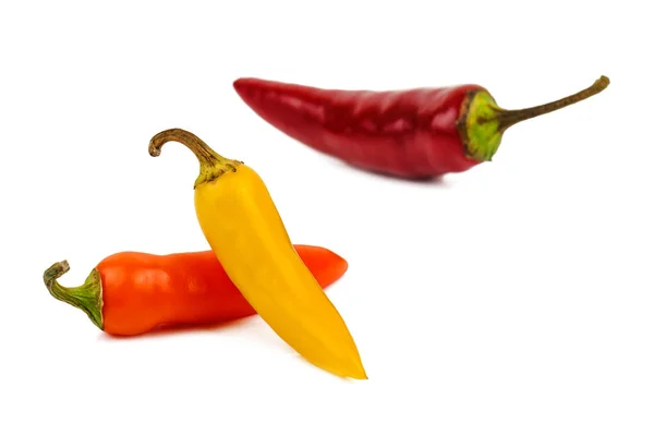 Tres chiles sobre blanco — Foto de Stock