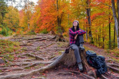 turist kız kırmızı gömlekli bir güdük sonbahar ormanın içinde oturur