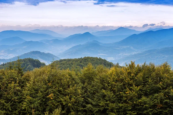 Krajobraz zielony las i góry — Zdjęcie stockowe
