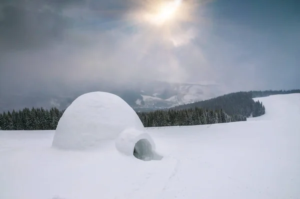 Real snow igloo under sunlight — Stock Photo, Image