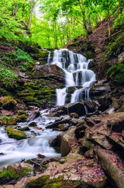Yeşil ormanda şelale