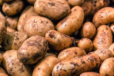 bir doku olarak ham patates