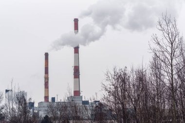 Sigara fabrikası boruları. Çevre sorunları