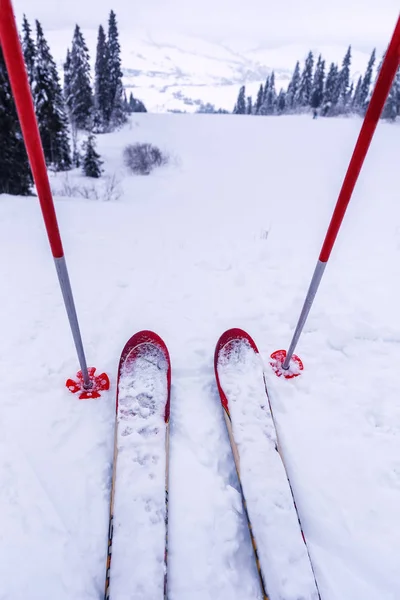 Esquí Rojo Palos Colina Nieve Invierno Esquí Rsort —  Fotos de Stock