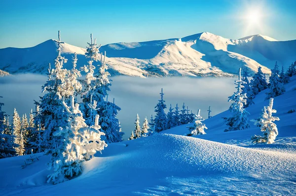 美丽的冬季风景e — 图库照片