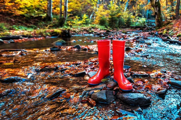 Red rubber boots and forest stream — Stock Photo, Image