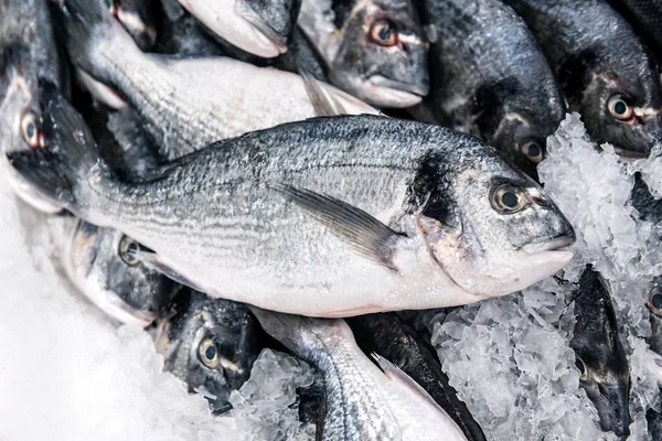 Peixe Dorado fresco no gelo — Fotografia de Stock