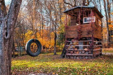 tree house and car tire as a swing