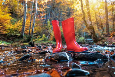 Orman deresindeki taşın üzerinde kırmızı lastik çizmeler.