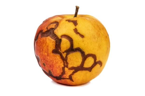 Reifer Fauler Apfel Isoliert Auf Weiß — Stockfoto