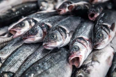 Buzda taze balık alabalığı.