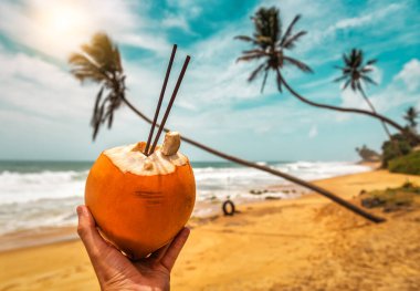 Güneş ışığı tropikal sahilinde elinde hindistan cevizi içiyordu.