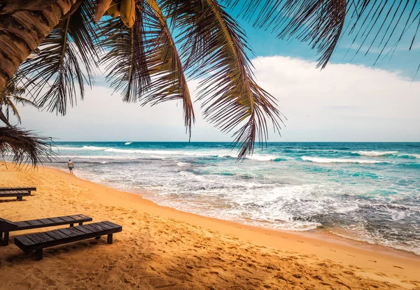 Καταπληκτική Τροπική Παραλία Και Τον Ωκεανό Στη Σρι Λάνκα — Φωτογραφία Αρχείου