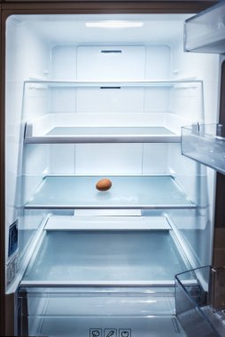 one brown egg in empty refrigerator