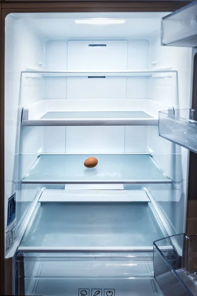 one brown egg in empty refrigerator