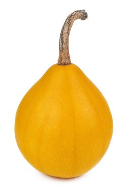 yellow ripe pumpkin isolated on white