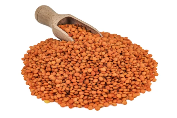 Red Lentils Wooden Scoop Isolated White — Stok fotoğraf