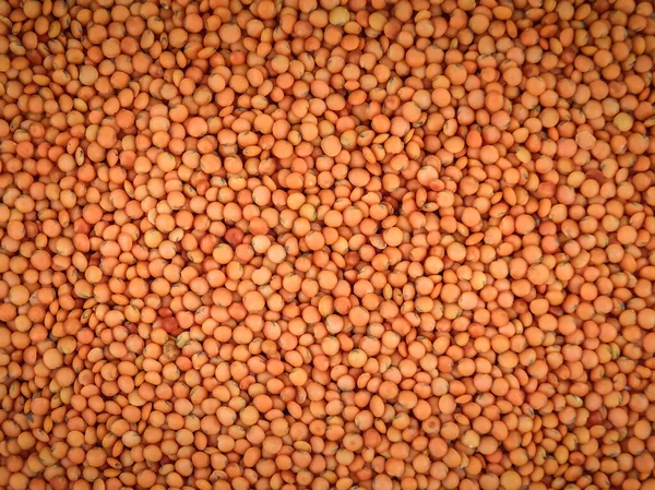 Red Lentils Texture — Stok fotoğraf