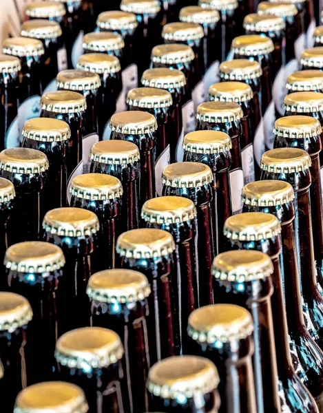 cap of bottles beer bottles on conveyor belt