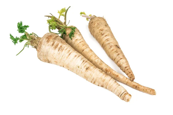 Raw Parsley Roots Isolated White — Stock Photo, Image