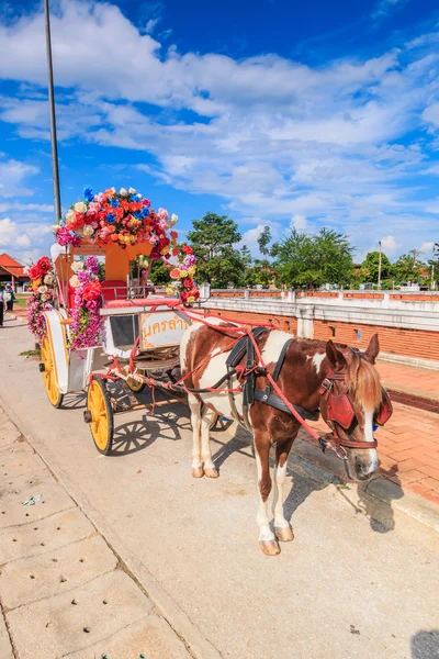 Horse carriage in Lampang — Stock Photo, Image