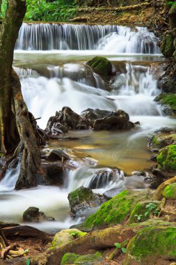 Şelale Tayland Ulusal Parkı'nda 