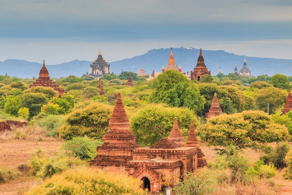 Bagan 도시에 오래 된 탑 — 스톡 사진