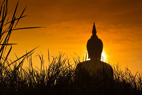 Nagy buddha szobor, a Wat muang — Stock Fotó