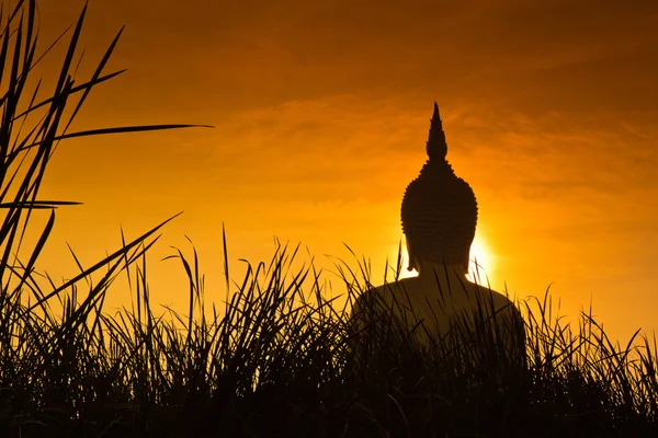 Gran estatua de buda en Wat muang —  Fotos de Stock