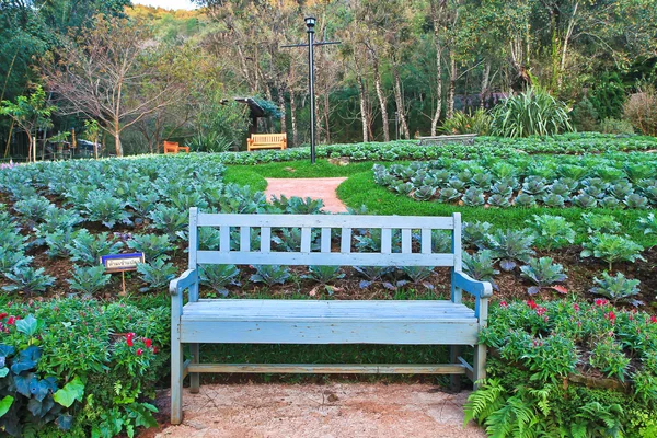 Relax benches in garden — Stock Photo, Image