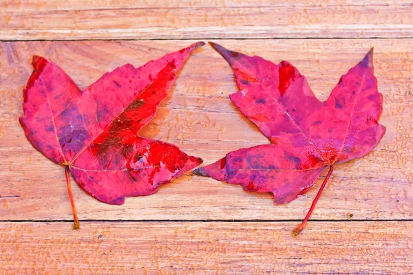 Maple leaves on table — Stock Photo, Image