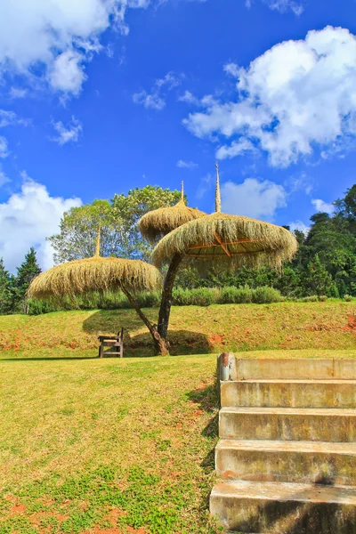 Тропические зонтики со скамейкой — стоковое фото