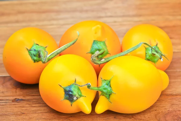 Solanum mammosum Pflanzen — Stockfoto