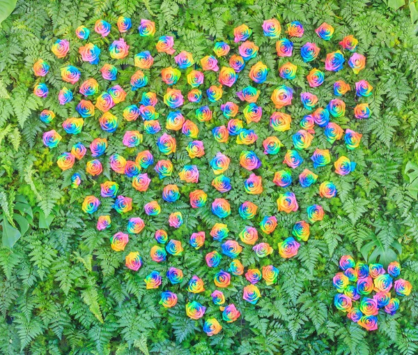 Lindas flores em forma de coração — Fotografia de Stock