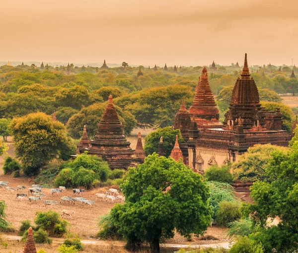 Bagan városban a Shan állam — Stock Fotó