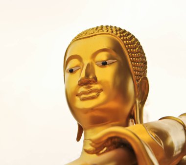 Hacı Buda resim