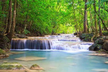 Orman şelale ve mavi akım