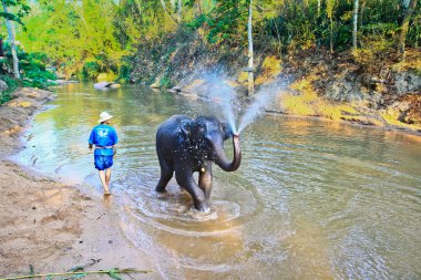 İnsanlar turistler için bekleyin