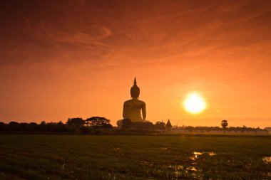 Wat muang büyük Buda heykeli