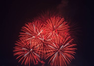 gökyüzü üzerinde güzellik gece havai fişek