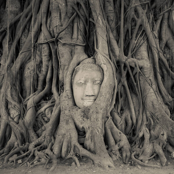 Face of Buddha statue 