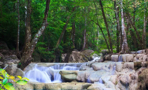 Водопад и голубой ручей в лесу — стоковое фото